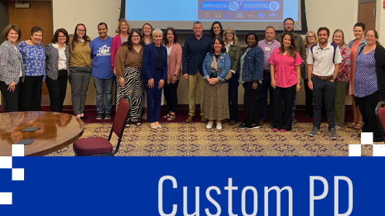 Custom Professional Development